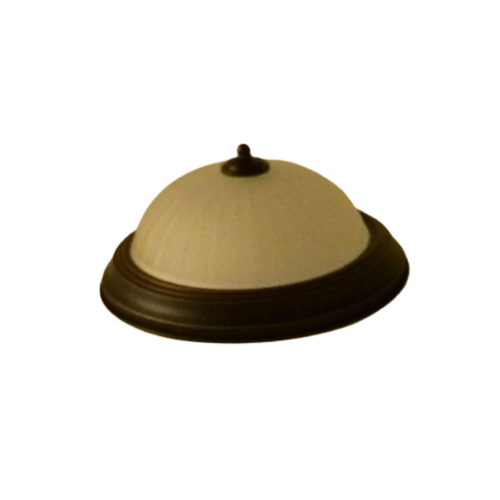 Ceiling titty Blank Meme Template