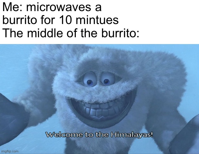why is it still frozen in the middle | Me: microwaves a burrito for 10 mintues
The middle of the burrito: | image tagged in welcome to the himalayas,memes,funny,oh wow are you actually reading these tags | made w/ Imgflip meme maker