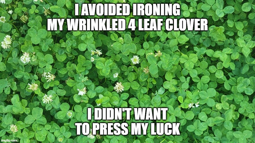 memes by Brad - I didn't iron my 4 leaf clover. I didn't want to press my luck. | I AVOIDED IRONING MY WRINKLED 4 LEAF CLOVER; I DIDN'T WANT TO PRESS MY LUCK | image tagged in funny,fun,bad luck,funny meme,humor,luck | made w/ Imgflip meme maker