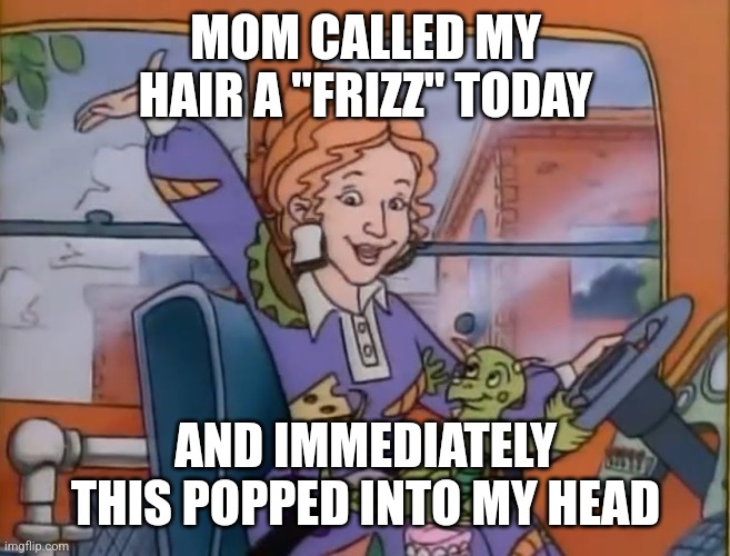 SEATBELTS EVERYONE | MOM CALLED MY HAIR A "FRIZZ" TODAY; AND IMMEDIATELY THIS POPPED INTO MY HEAD | image tagged in seatbelts everyone | made w/ Imgflip meme maker