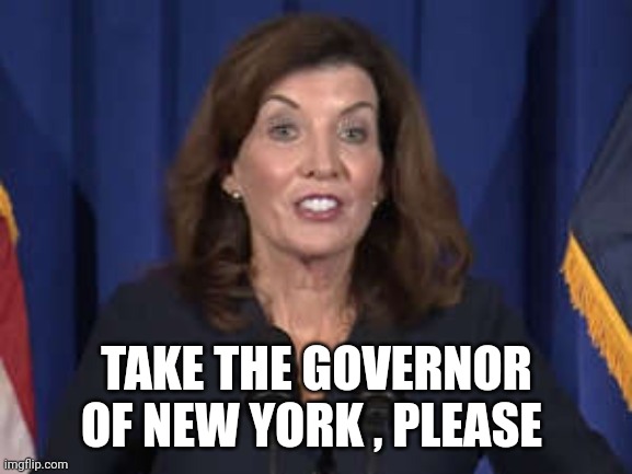 Kathy Hochul | TAKE THE GOVERNOR OF NEW YORK , PLEASE | image tagged in kathy hochul | made w/ Imgflip meme maker