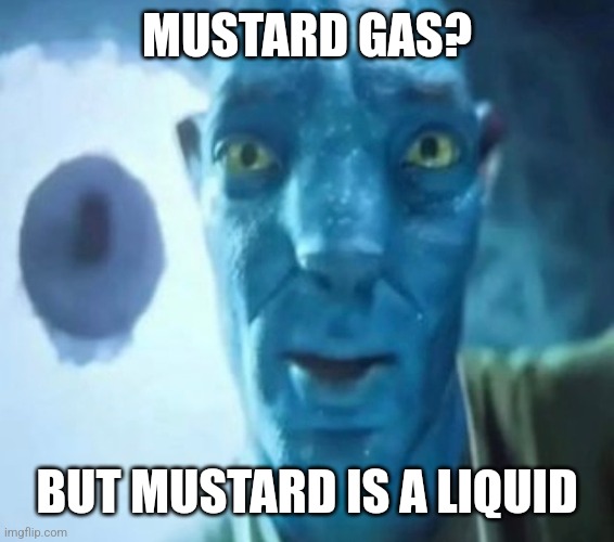 Avatar guy | MUSTARD GAS? BUT MUSTARD IS A LIQUID | image tagged in avatar guy | made w/ Imgflip meme maker