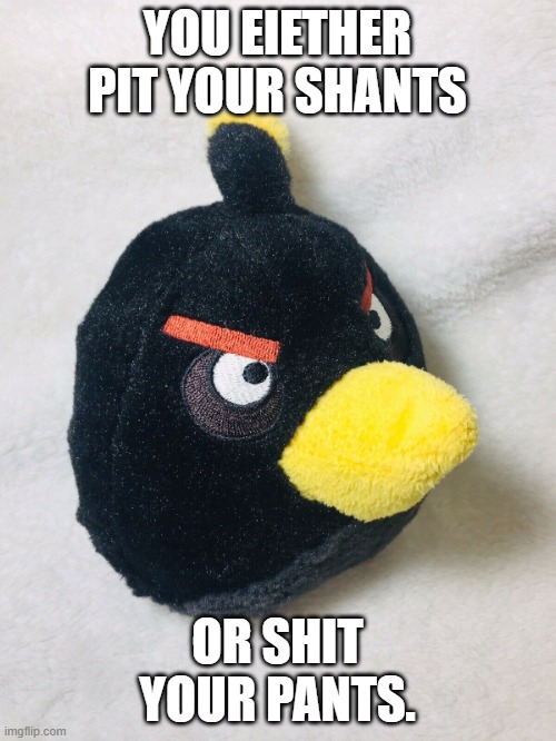 bomb bird | YOU EIETHER PIT YOUR SHANTS OR SHIT YOUR PANTS. | image tagged in bomb bird | made w/ Imgflip meme maker