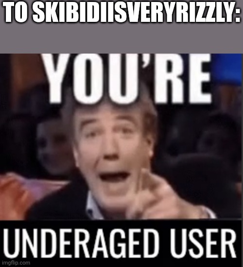 You’re underage user | TO SKIBIDIISVERYRIZZLY: | image tagged in you re underage user | made w/ Imgflip meme maker