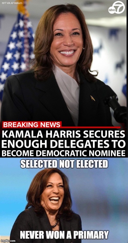 SelectedNot Elected | image tagged in kamala harris,democrats | made w/ Imgflip meme maker