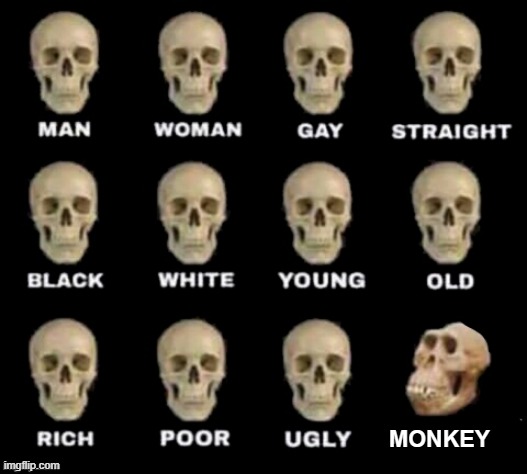 Real af | MONKEY | image tagged in idiot skull,first meme,relatable,anti meme | made w/ Imgflip meme maker