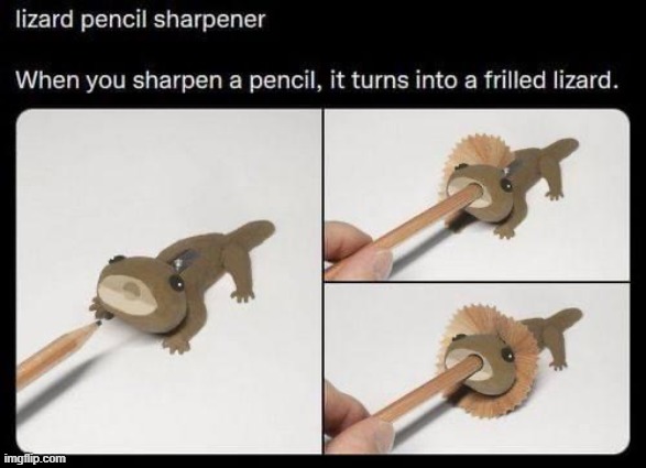 Lizard pencil sharpener.mp3 | image tagged in lizard pencil sharpener | made w/ Imgflip meme maker