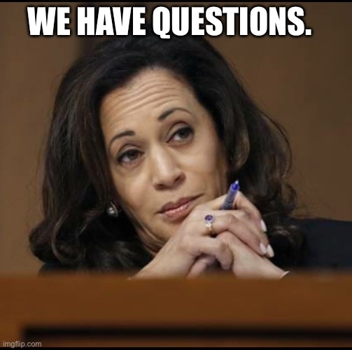 Kamala Harris  | WE HAVE QUESTIONS. | image tagged in kamala harris | made w/ Imgflip meme maker