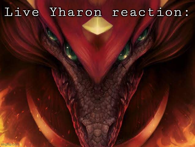 Terraria Calamity Yharon | Live Yharon reaction: | image tagged in terraria calamity yharon | made w/ Imgflip meme maker