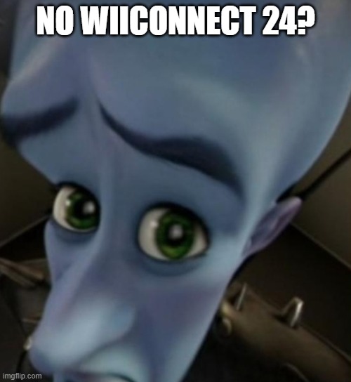 No WiiConnect24? | NO WIICONNECT 24? | image tagged in megamind no bitches | made w/ Imgflip meme maker