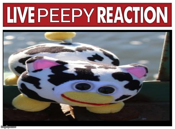 i wanna hug to the my boy | PEEPY | image tagged in live reaction | made w/ Imgflip meme maker