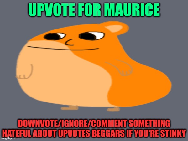 Maurice | UPVOTE FOR MAURICE; DOWNVOTE/IGNORE/COMMENT SOMETHING HATEFUL ABOUT UPVOTES BEGGARS IF YOU'RE STINKY | image tagged in memes,funny,upvote begging,i don't like upvote begging | made w/ Imgflip meme maker