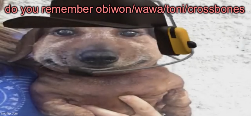 chucklenuts | do you remember obiwon/wawa/toni/crossbones | image tagged in chucklenuts | made w/ Imgflip meme maker