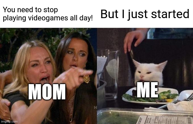 Woman Yelling At Cat | You need to stop playing videogames all day! But I just started; ME; MOM | image tagged in memes,woman yelling at cat | made w/ Imgflip meme maker