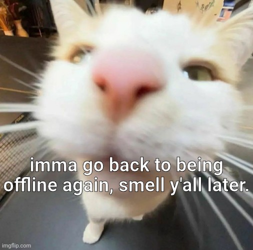 blehh cat | imma go back to being offline again, smell y'all later. | image tagged in blehh cat | made w/ Imgflip meme maker