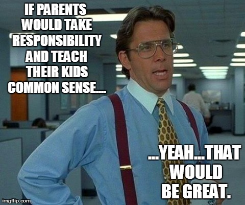 That Would Be Great Meme | IF PARENTS WOULD TAKE RESPONSIBILITY AND TEACH THEIR KIDS COMMON SENSE.... ...YEAH...THAT WOULD BE GREAT. | image tagged in memes,that would be great | made w/ Imgflip meme maker