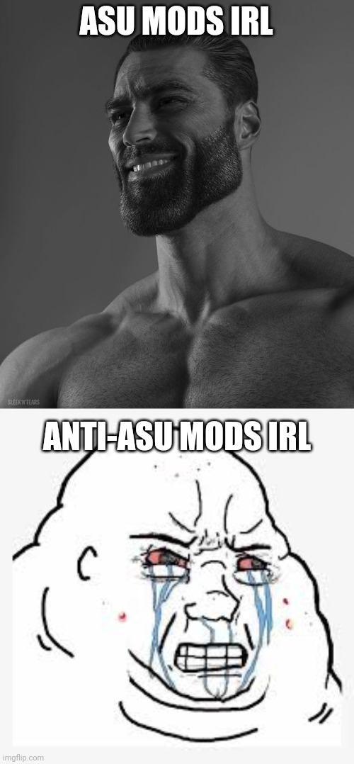 ASU MODS IRL ANTI-ASU MODS IRL | image tagged in giga chad,angry discord mod | made w/ Imgflip meme maker