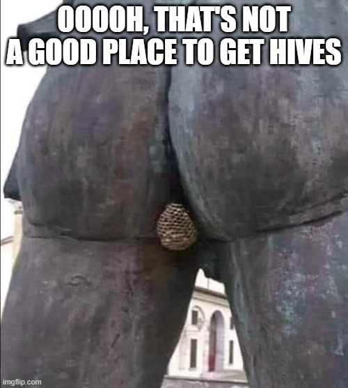 Hives | OOOOH, THAT'S NOT A GOOD PLACE TO GET HIVES | image tagged in adult humor | made w/ Imgflip meme maker