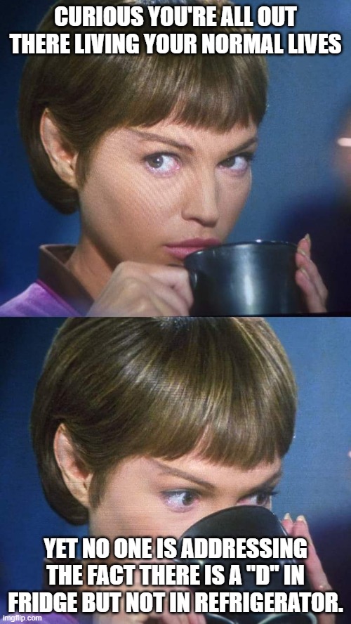 T'pol Tea | CURIOUS YOU'RE ALL OUT THERE LIVING YOUR NORMAL LIVES; YET NO ONE IS ADDRESSING THE FACT THERE IS A "D" IN FRIDGE BUT NOT IN REFRIGERATOR. | image tagged in t'pol tea,star trek | made w/ Imgflip meme maker