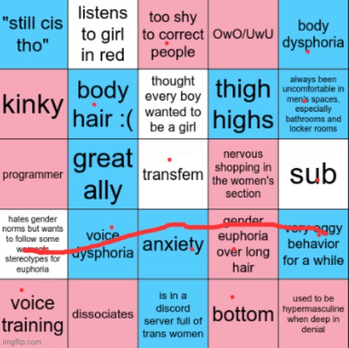 Transfem Bingo | image tagged in transfem bingo | made w/ Imgflip meme maker