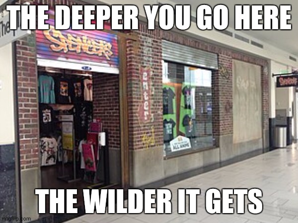 We're Getting to the Back of Spencer's Gifts with This One! | THE DEEPER YOU GO HERE; THE WILDER IT GETS | image tagged in nostalgia,mall | made w/ Imgflip meme maker