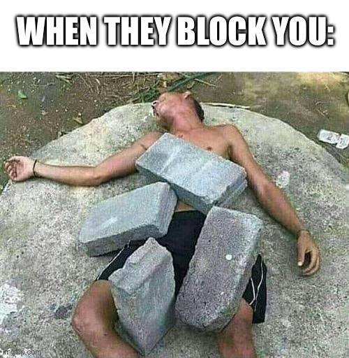 Blocked, literally blo- | WHEN THEY BLOCK YOU: | made w/ Imgflip meme maker