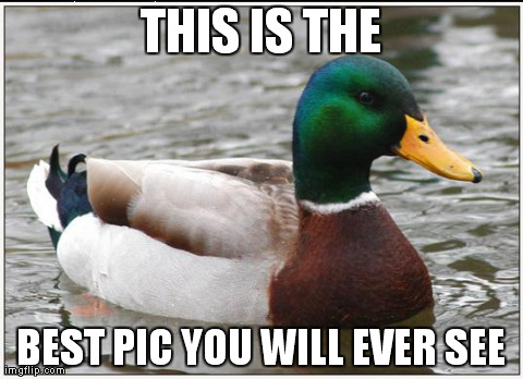 Actual Advice Mallard | THIS IS THE BEST PIC YOU WILL EVER SEE | image tagged in memes,actual advice mallard | made w/ Imgflip meme maker