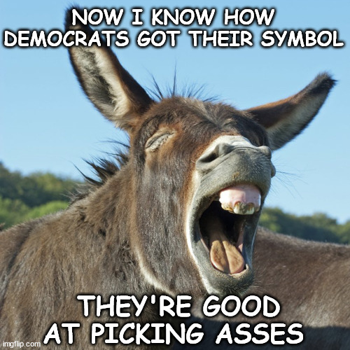 Democrat Donkey | NOW I KNOW HOW DEMOCRATS GOT THEIR SYMBOL; THEY'RE GOOD AT PICKING ASSES | image tagged in ass,harris 2024,democrat party,democrat,kamala | made w/ Imgflip meme maker