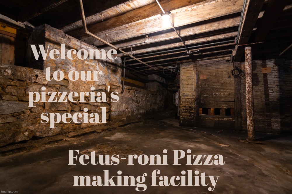 Basement | Welcome to our pizzeria's special; Fetus-roni Pizza
making facility | image tagged in basement | made w/ Imgflip meme maker