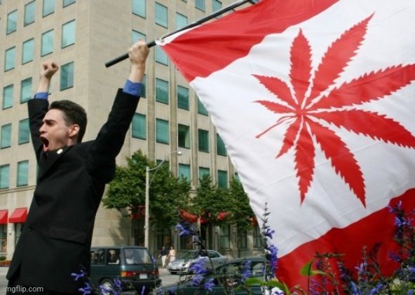 Canada Pot Flag | image tagged in canada pot flag | made w/ Imgflip meme maker