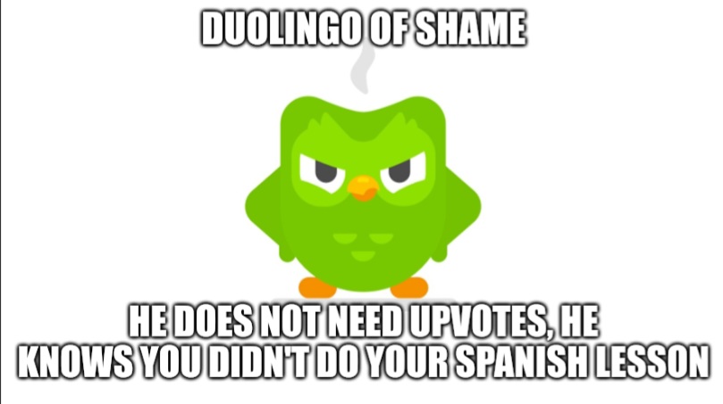 Duolingo of shame Blank Meme Template