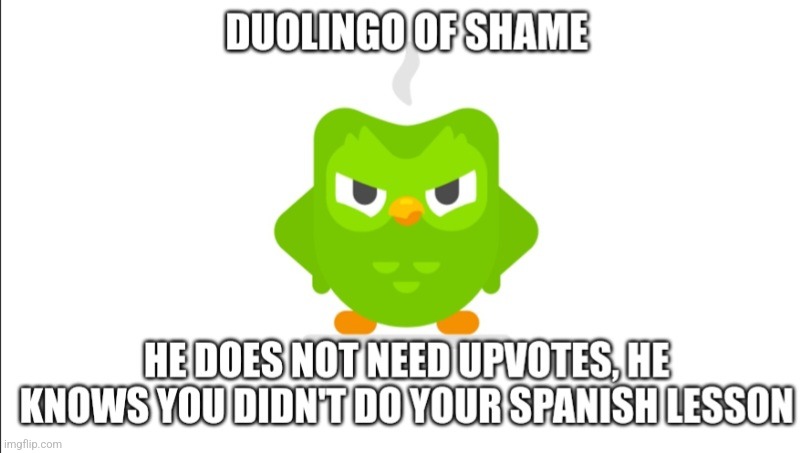 Duolingo of shame | image tagged in duolingo of shame | made w/ Imgflip meme maker