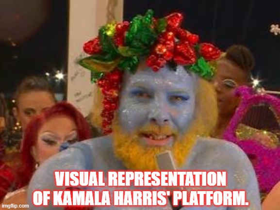 Platforms | VISUAL REPRESENTATION OF KAMALA HARRIS' PLATFORM. | image tagged in kamala harris,unburdened by that which was | made w/ Imgflip meme maker