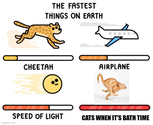 It's bath time | CATS WHEN IT'S BATH TIME | image tagged in fastest thing possible,pets,cats,funny memes,memes,jpfan102504 | made w/ Imgflip meme maker