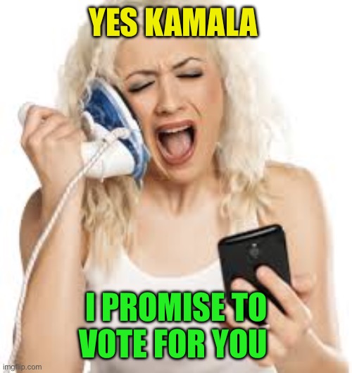 Loyal Democrats | YES KAMALA; I PROMISE TO VOTE FOR YOU | image tagged in hello hello,kamala harris,democrats,loyalty | made w/ Imgflip meme maker