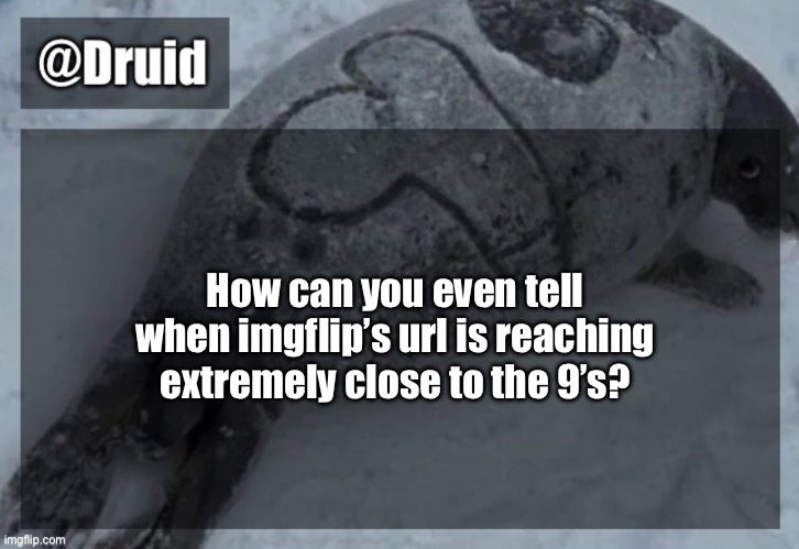 Old announcement temp | How can you even tell when imgflip’s url is reaching extremely close to the 9’s? | image tagged in y | made w/ Imgflip meme maker