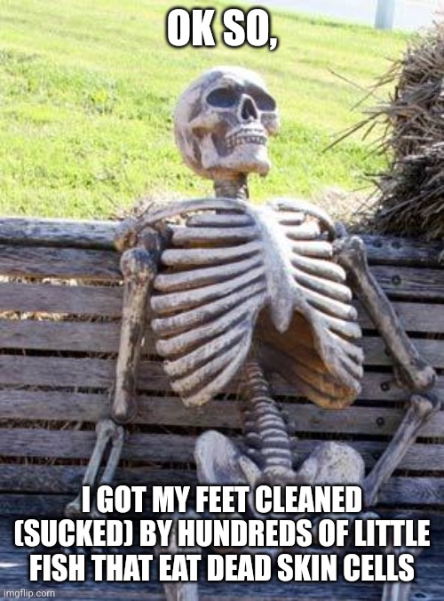 Uhhhhh | OK SO, I GOT MY FEET CLEANED (SUCKED) BY HUNDREDS OF LITTLE FISH THAT EAT DEAD SKIN CELLS | image tagged in memes,waiting skeleton | made w/ Imgflip meme maker