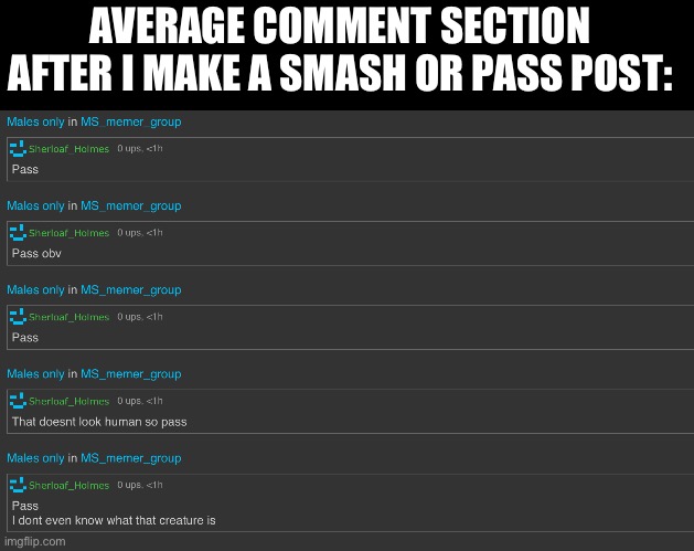 AVERAGE COMMENT SECTION AFTER I MAKE A SMASH OR PASS POST: | made w/ Imgflip meme maker