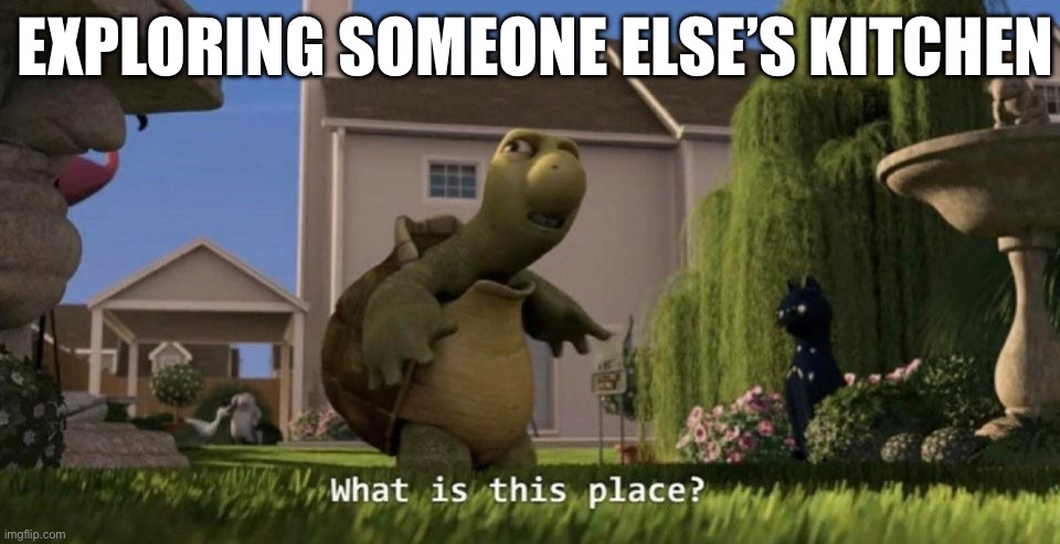 Trying to find one thing in your friend”a kitchen | EXPLORING SOMEONE ELSE’S KITCHEN | image tagged in what is this place | made w/ Imgflip meme maker