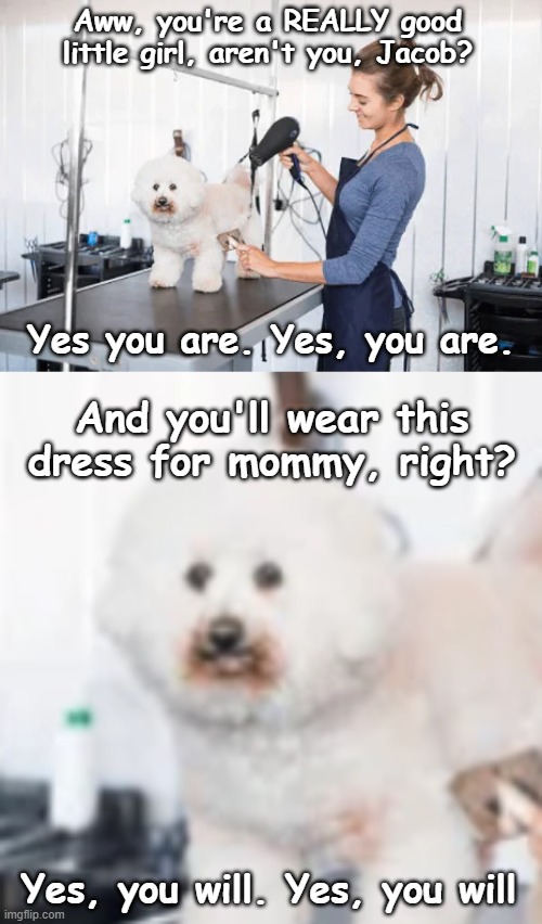 8yi2k2.jpg