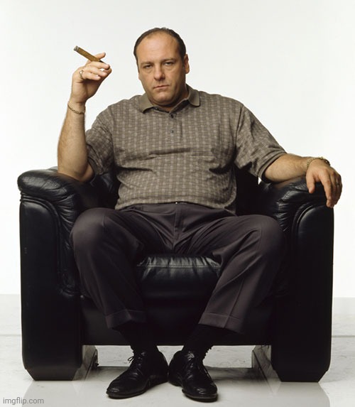 Tony Soprano | image tagged in tony soprano | made w/ Imgflip meme maker