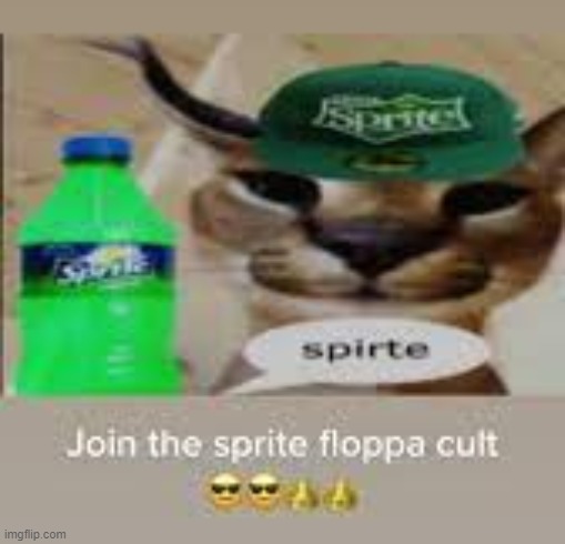 screenshot and post to msmg for floppa cult | made w/ Imgflip meme maker