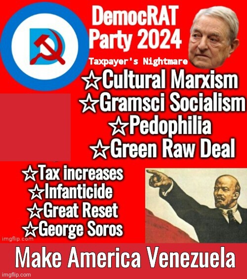 Democrat party platform 2024 Blank Meme Template