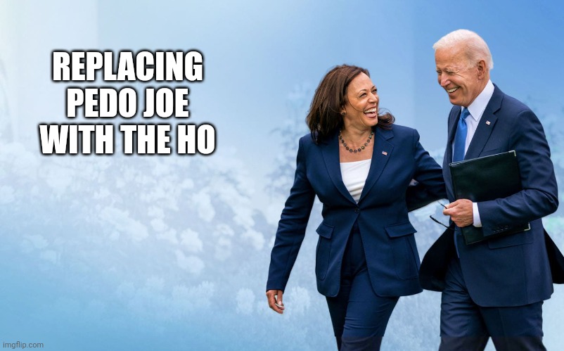 And we're still screwed | REPLACING PEDO JOE WITH THE HO | image tagged in biden and harris | made w/ Imgflip meme maker