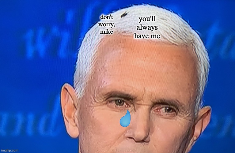 Pence Fly | don't
worry,
mike you'll
always
have me | image tagged in pence fly | made w/ Imgflip meme maker