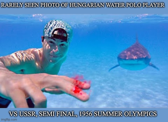 Blood in the pool | RARELY SEEN PHOTO OF HUNGARIAN WATER POLO PLAYER; VS USSR, SEMI FINAL, 1956 SUMMER OLYMPICS | image tagged in blood in the water,pool,water,polo | made w/ Imgflip meme maker