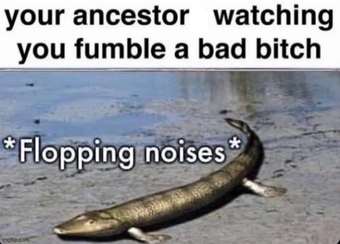 image tagged in ancestor flopping noises | made w/ Imgflip meme maker