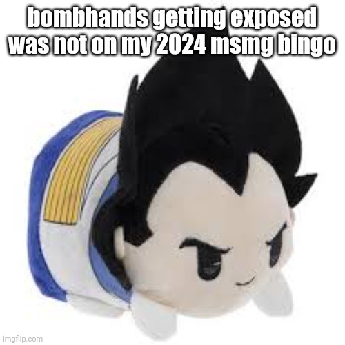 vegeta plush | bombhands getting exposed was not on my 2024 msmg bingo | image tagged in vegeta plush | made w/ Imgflip meme maker