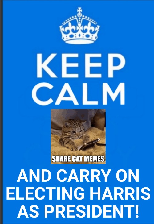 Keep calm cat ladies for Harris | AND CARRY ON
ELECTING HARRIS
AS PRESIDENT! | image tagged in cats,cat lady,kamala harris | made w/ Imgflip meme maker