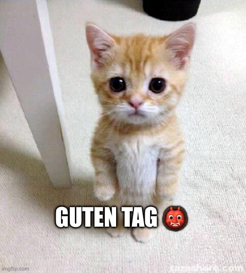 Cute Cat Meme | GUTEN TAG 👹 | image tagged in memes,cute cat | made w/ Imgflip meme maker